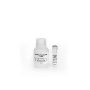 Antikörper-Reagenzkit - TSA® Cyanine 3 - Akoya Biosciences - Immunohistochimie / flüssig