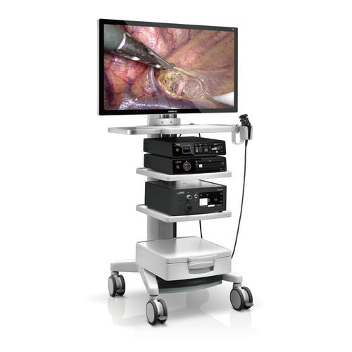 Veterinär-Laparoskop / Video - Vetina CS7 - Shenzhen Mindray Animal Medical Technology Co., Ltd. - für Hunde / mit Arbeitskanal