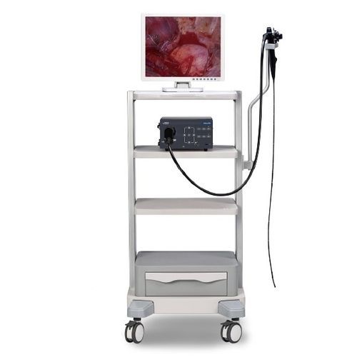Veterinär-Bronchoskop / Video - Vetina ES3 - Shenzhen Mindray Animal Medical Technology Co., Ltd. - für Kleintiere / für Großtiere / mit Arbeitskanal
