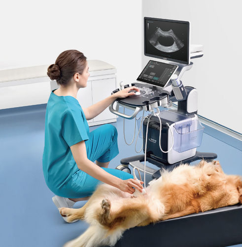 Plattformmontiertes Tierärztliches Ultraschallsystem - Vetus 50 - Shenzhen Mindray Animal Medical Technology Co., Ltd. - Multifunktion / für Hunde / für Katzen