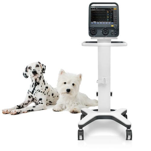 Beatmungsgerät für Veterinärmedizin - SV300 Vet - Shenzhen Mindray Animal Medical Technology Co., Ltd. - nichtinvasiv / Multimodus / invasiv