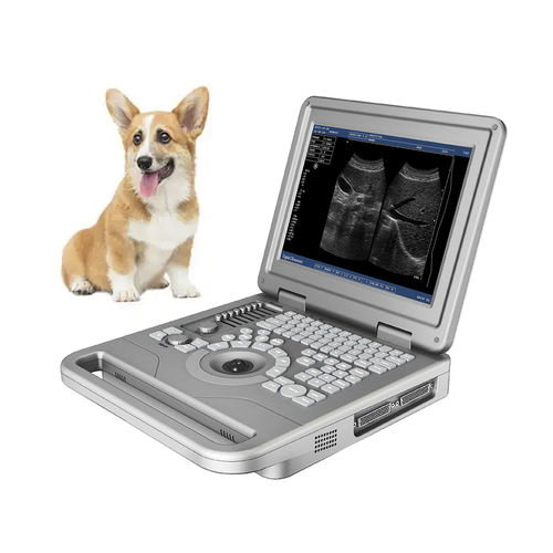 Tragbares Tierärztliches Ultraschallsystem - FTL-UTS30 - Fatali Medical - Multifunktion / für Kleintiere / Schwarz-Weiß