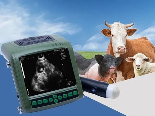 Tragbares Tierärztliches Ultraschallsystem - FTL-MSU1Plus - Fatali Medical - Multifunktion / für Schweine / für Rinder