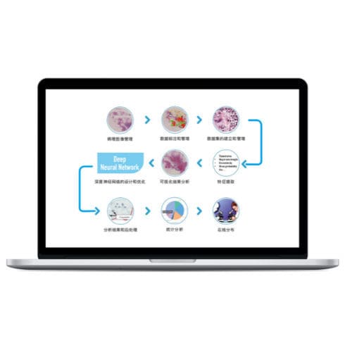 Management-Software - RadCloud®  - Huiying Medical Technology (Beijing) Co., Ltd. - Visualisierung / Ausbildung / medizinisch