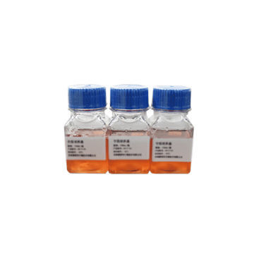 Reaktives Milieu - SN4001 - Celnovte Biotechnology Co., Ltd. - für Kliniken / Zytogenetisch / für Zellkultur