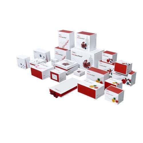 Reagenzkit / als Lösung - MTBaccuPanel™ - NGenebio - Diagnose / für neuartige Sequenzierung / flüssig
