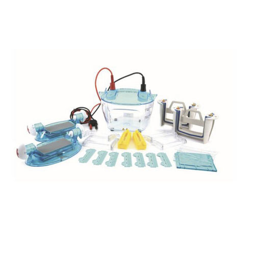 Elektrophoresesystem auf Agarosegel - Qingdao Jiading Analytical Instruments Co., Ltd. - auf Polyacrylamidgel / Tisch / 4 Kanäle