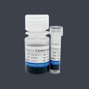 Mikrosphäre-Reagenz - PMA1025AA - VDO Biotech - Agarosegel / zur Proteinreinigung / Protein