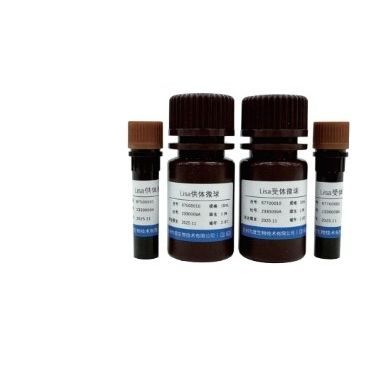 Mikrosphäre-Reagenz - 67500001 - VDO Biotech - zur Immunanalyse / flüssig