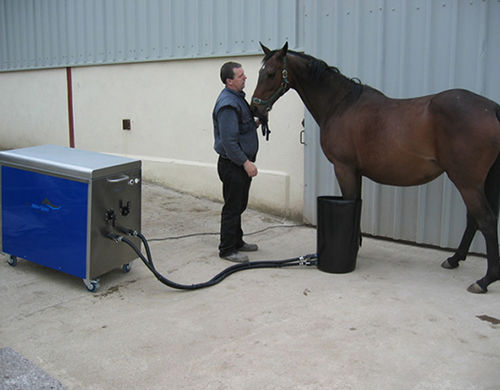 Tierspa für Pferde - Mini-Spa® - Cet Equine Spa