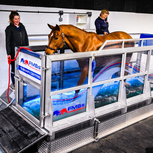 Veterinär-Laufband / für Pferde - FMBs - Unterwasser / für Hydrotherapie