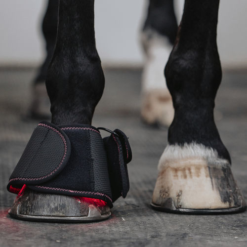 Veterinär-Lauforthese / für Säugetiere - Infrapower - FMBs