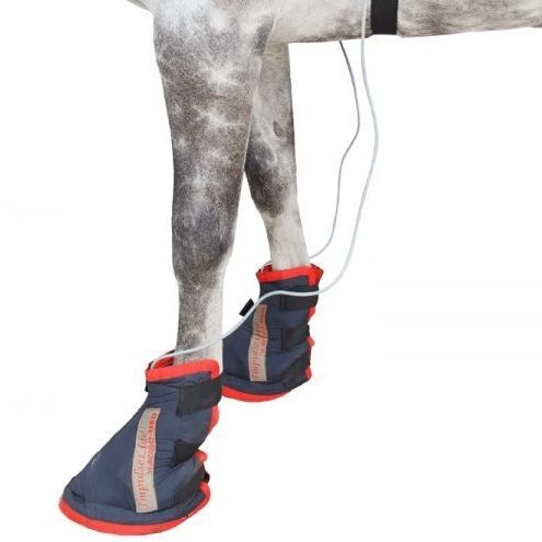 Veterinär-Lauforthese - Activo-Med - FMBs