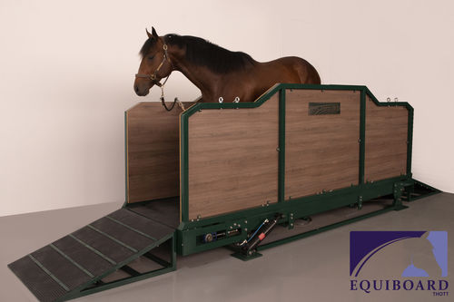 Veterinär-Laufband / für Pferde - EQUIBOARD - schräg
