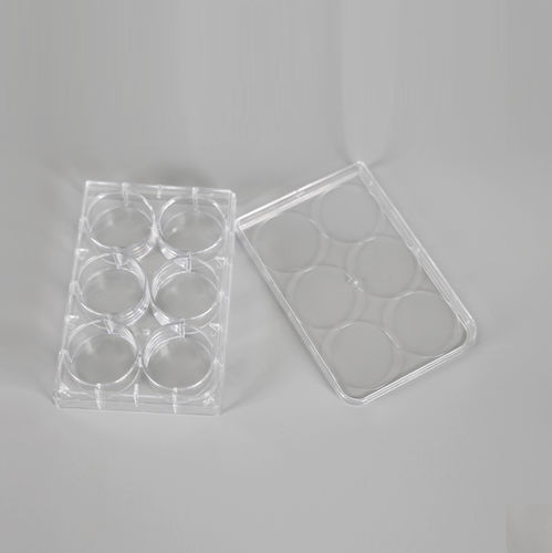 Labor-Mikroplatte - YCP-6-FB - Kunshan Yongyue Medical Technology - Zellkultur / 6 Mulden