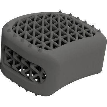 HWS-Zwischenwirbelimplantat - BMD ACIF ® - Global Biomedica - ventraler Zugang / Titan