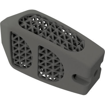 LWS-Zwischenwirbelimplantat - BMD PLIF ® - Global Biomedica - dorsaler Zugang / Titan