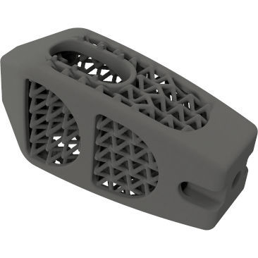 LWS-Zwischenwirbelimplantat - BMD PLIF GW ® - Global Biomedica - dorsaler Zugang / Titan