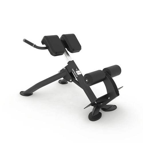 Lenden-Kraftbank - SP-4220 - SPIRIT Fitness
