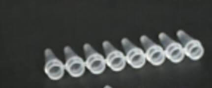 Labor-Reagenzglas - YPT8-0.2-T - Mountain Scientific Inc - für PCR / für DNA / für RNS