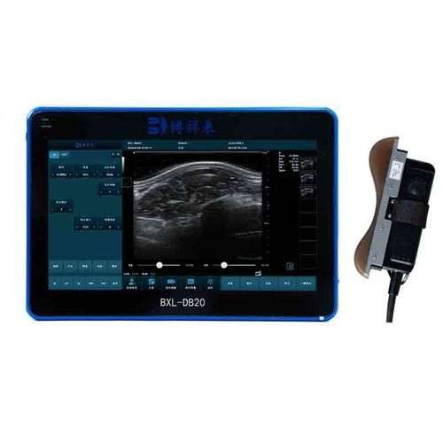 Lendenfett Scanner / für Großtiere - BXL-DB20 - Zhengzhou Boxianglai Electronic Sci-tech Co.,Ltd