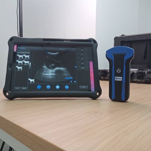 Tragbares Tierärztliches Ultraschallsystem - BXL-S101 lPX7  - Zhengzhou Boxianglai Electronic Sci-tech Co.,Ltd - Multifunktion / für Schafe