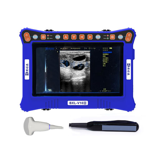Tragbares Tierärztliches Ultraschallsystem - BXL-V10 Ⅲ  - Zhengzhou Boxianglai Electronic Sci-tech Co.,Ltd - Multifunktion / für Schweine / für Pferde