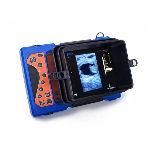 Tragbares Tierärztliches Ultraschallsystem - BXL-V50 - Zhengzhou Boxianglai Electronic Sci-tech Co.,Ltd - Multifunktion / für Rinder / für Schafe