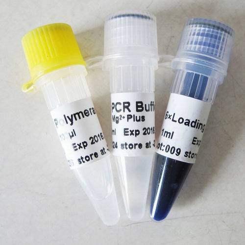 Pufferlösung - P1011 500U  - Guangzhou Dongsheng Biotech Co., Ltd. - Enzyme / DNA-Polymerase / Taq-Polymerase