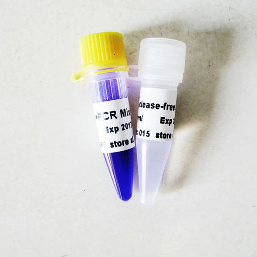 Reagenz / als Lösung - P2011 - Guangzhou Dongsheng Biotech Co., Ltd. - Pufferlösung / DNA-Polymerase / Taq-Polymerase