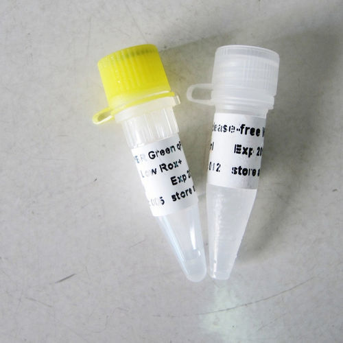 Pufferlösung - SYBR® - Guangzhou Dongsheng Biotech Co., Ltd. - Taq-Polymerase / Farbstoff / für qPCR