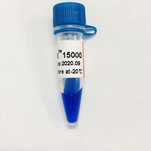 Agarosegel-Reagenz - LD DS - Guangzhou Dongsheng Biotech Co., Ltd. - Farbstoff / Nukleinsäure / für Elektrophorese