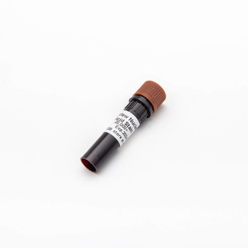 Farbstoff Reagenz - DSView™ - Guangzhou Dongsheng Biotech Co., Ltd. - Nukleinsäure