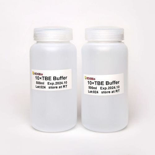 Pufferlösung - TBE  - Guangzhou Dongsheng Biotech Co., Ltd. - für Elektrophorese / flüssig / pH
