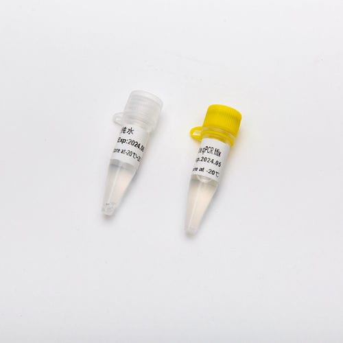 Taq-Polymerase-Reagenz - HS - Guangzhou Dongsheng Biotech Co., Ltd. - für Echtzeit-PCR