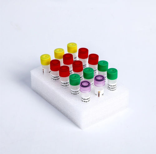 Enzyme-Reagenzkit - K004-A - Guangzhou Dongsheng Biotech Co., Ltd. - Ligase ADN / Farbstoff / NGS