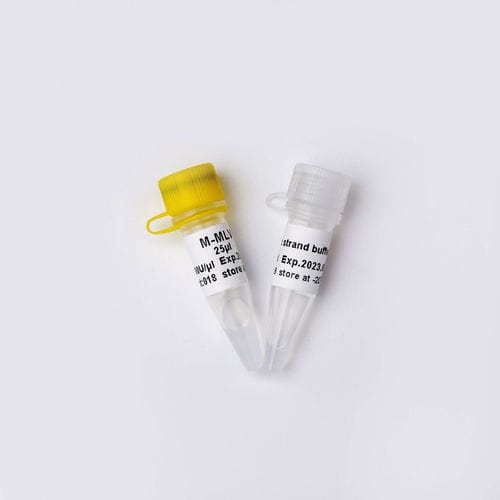 Enzyme-Reagenz - R1042 - Guangzhou Dongsheng Biotech Co., Ltd. - umgekehrte Transkriptase / für Forschungszwecke / Viren