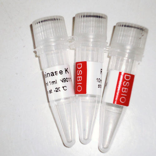 Enzyme-Reagenz - N9012 - Guangzhou Dongsheng Biotech Co., Ltd. - Protease / K-Proteinase / für Molekularbiologie