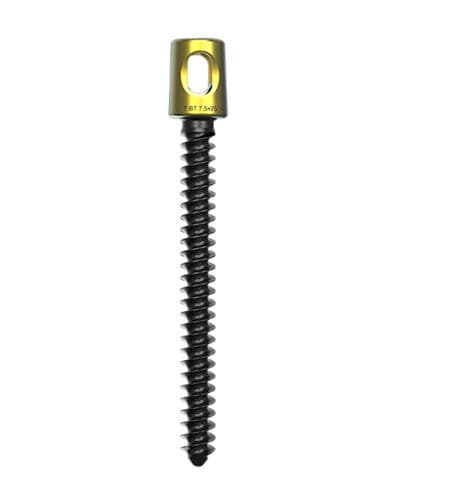 Pedikelschraube für Lumbal-Sakral-Wirbel - Wuxi Betta Medical Technology - polyaxial / Metall