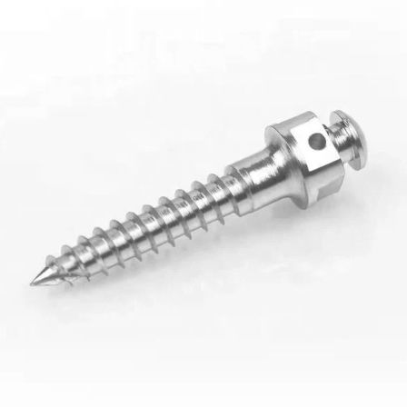 Konisches Zahnimplantat - Shenzhen Belident Medical Equipment Co.,Ltd - Titan / mit Innenverbindung / Schrauben
