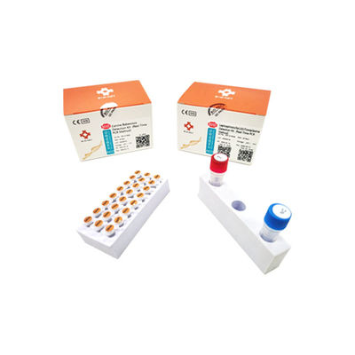 Testkit für Leptospirose - BIK-Q-P028 - Biokey Health - für Hunde / Toxoplasma gondii / Vollblut