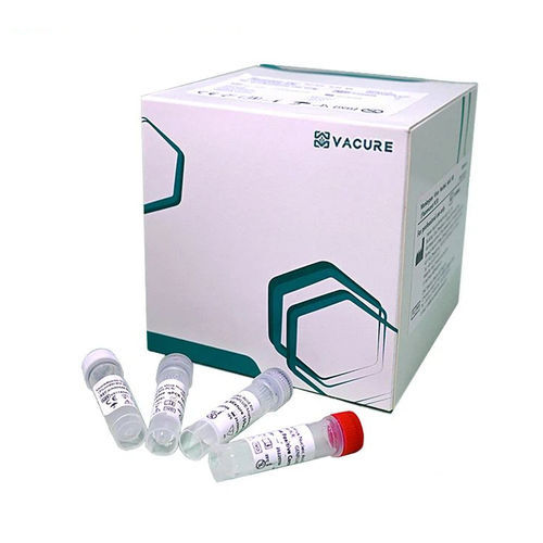 Reagenzkit / als Lösung - GINMK24 - Chengdu Vacure Biotechnology Co., Ltd - Nukleinsäure / flüssig / Blei