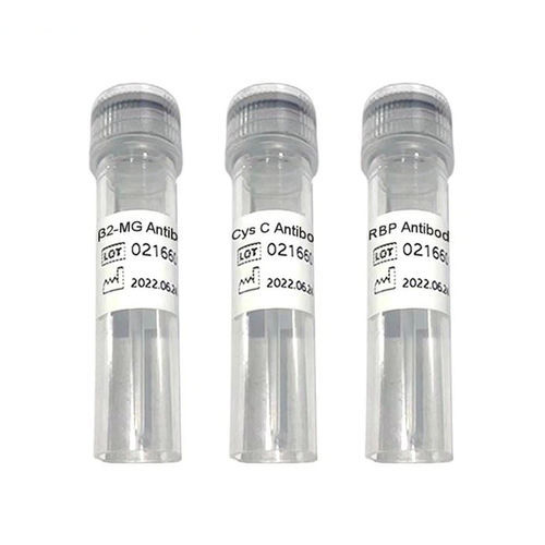 Antikörper - Ab1009 series - Chengdu Vacure Biotechnology Co., Ltd - Antigen / Herz / flüssig