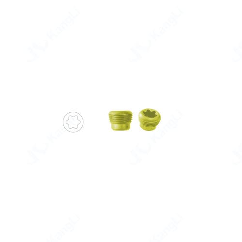 Titan-Implantatschraube - 33157 - Kangli Medical