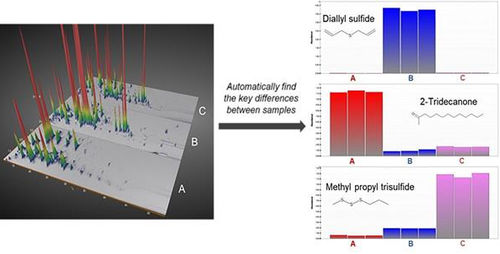 Medizinische Software - ChromCompare+ - SepSolve - Chromatographie / Datenanalyse / zur Datenverarbeitung