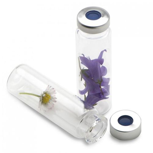 Labor-Phiole - HEADSPACE - SepSolve - Glas