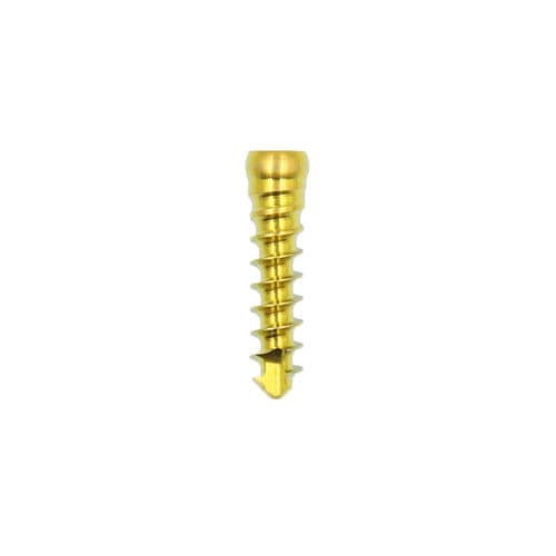 Knochen-Kompressionsschraube / HWS - JQL-Ⅲ	 - Chongqing FWS Medical Devices - Titan