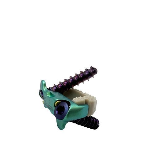 HWS-Zwischenwirbelimplantat - Zero-Profile - Chongqing FWS Medical Device - ventraler Zugang / Titan