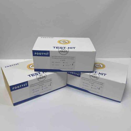 Testkit für Schilddrüsenerkrankungen - Poclight - für Hunde / TSH / Immunochimilumineszenz