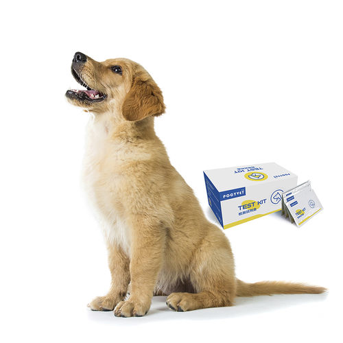 Testkit für Bauchspeicheldrüsenkrebs - Poclight - für Veterinärmedizin / für Tiere / für Hunde